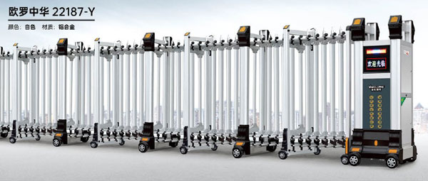 歐羅中華-22187-Y