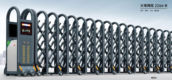 大彎網(wǎng)花-2266-B