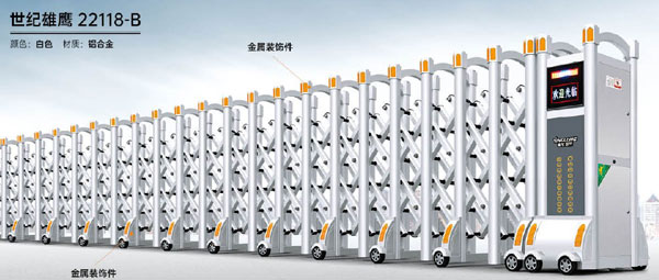 世紀(jì)雄鷹22118-B